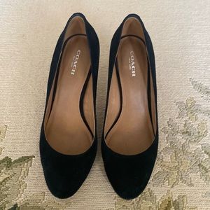 Coach suede pumps